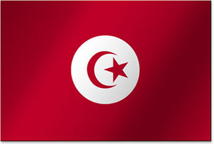 Flag Tunisia